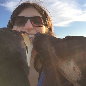 marthadavieskraftdellarovere avatar