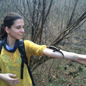 eneyavorodecky avatar