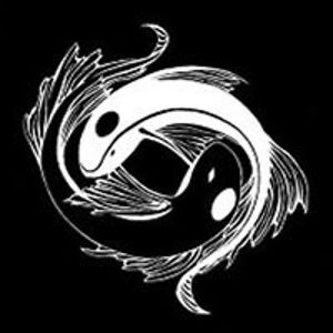 lilmiss_paradox avatar