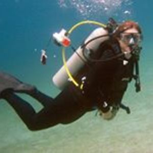 scubakitty727 avatar