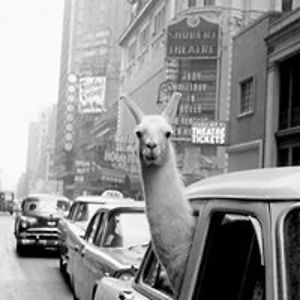 leatherneckjon avatar