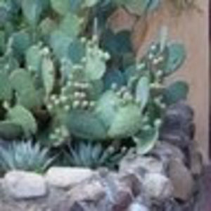 emilyreinwand avatar