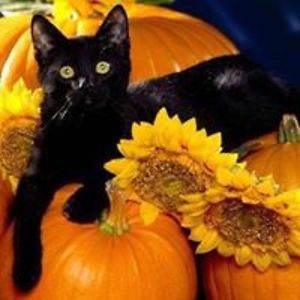 purpletacoes33 avatar