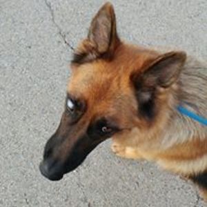 punk_rocker_883127 avatar