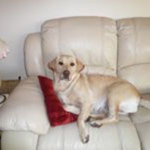 kimberley-mann avatar