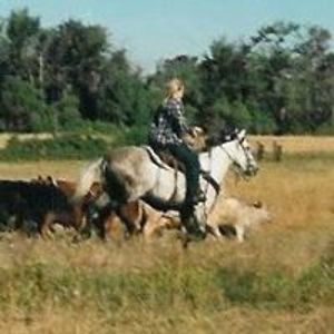 mariposa_lily avatar