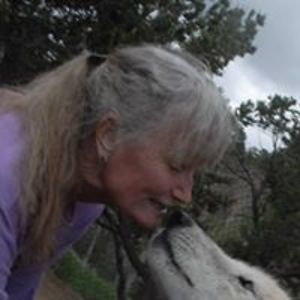 danceswith912s avatar