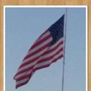 sandeasschmidt avatar