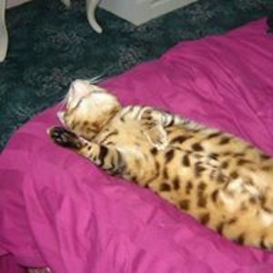 samanthawatmore avatar