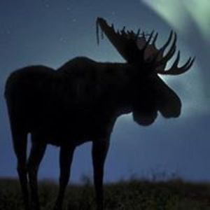 j_zuleger2112 avatar