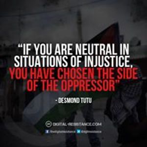 sabine_singenberger avatar