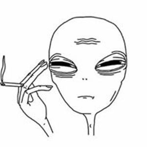 jennifermazer_n avatar