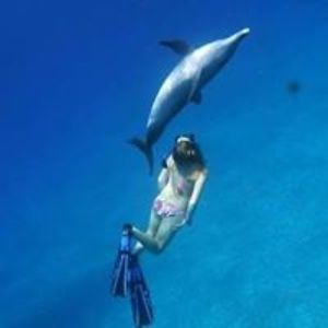 merima_kartal avatar