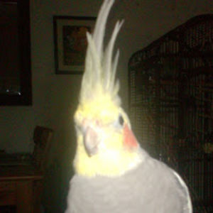 jessicamooney avatar