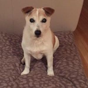 regina_asplin avatar