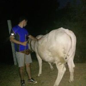 joao_carneiro85 avatar