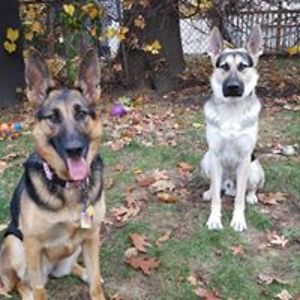 leah_barcelos avatar