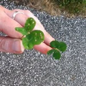 drowningin411 avatar