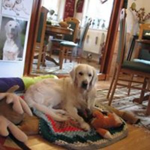 nina_georgescu avatar