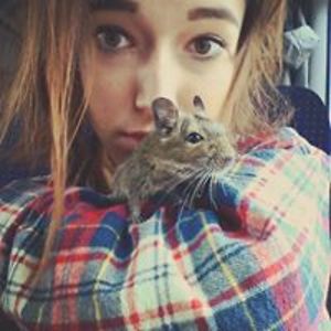 rachel_prochazkova avatar