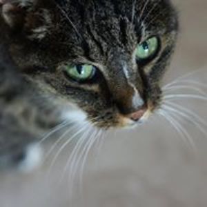 nadine_herwig avatar