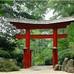 bastidasjulian avatar