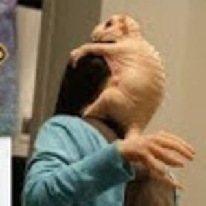 veronicacrecelius avatar