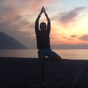 sunshine81_tw avatar