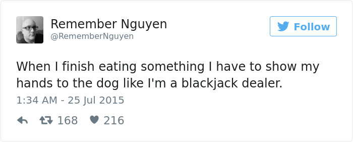 Dog Tweets
