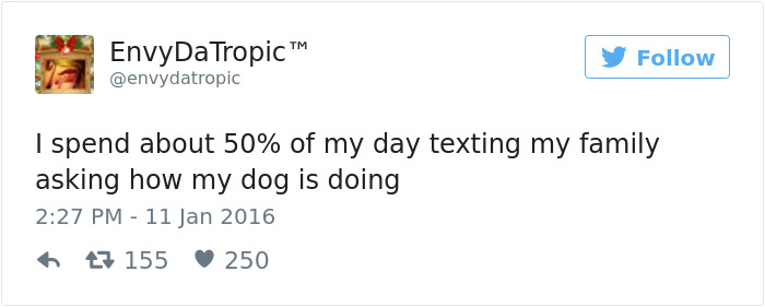 Dog Tweets