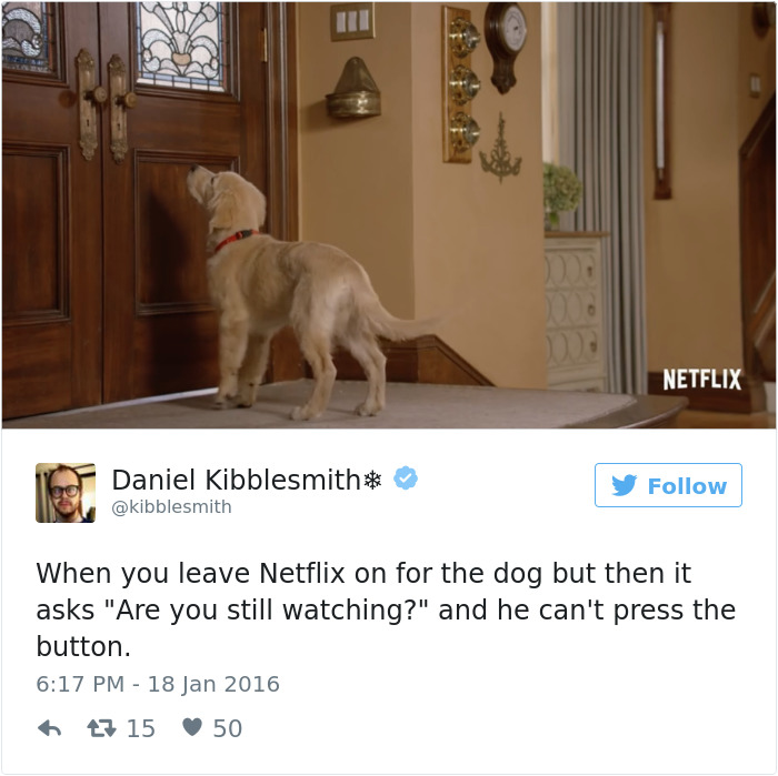 Dog Tweets
