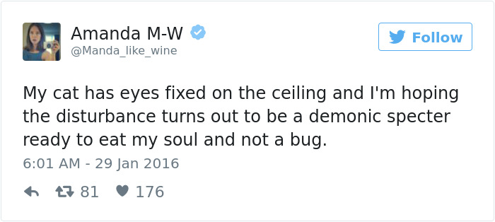 Best Cat Tweets Of 2016