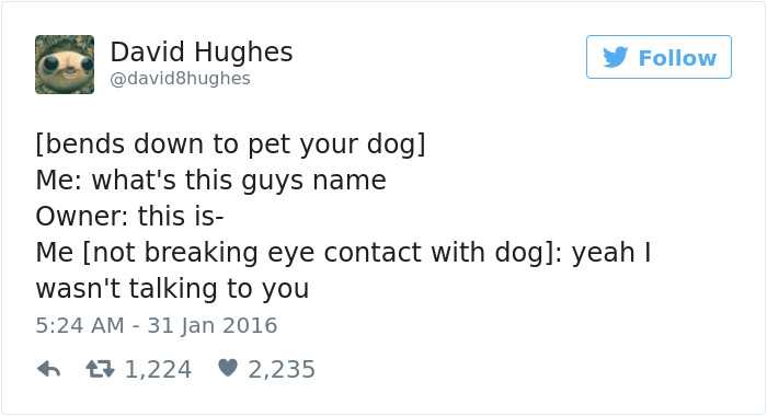Dog Tweets
