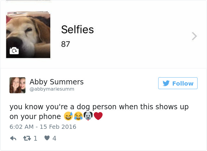 Dog Tweets