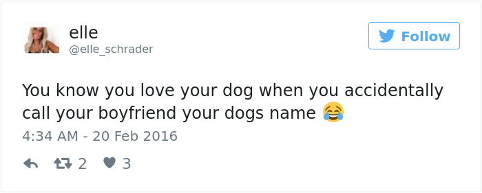 Dog Tweets