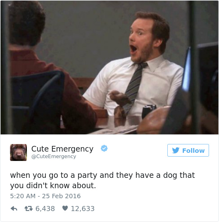 Dog Tweets