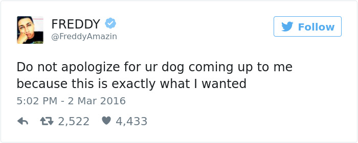 Dog Tweets