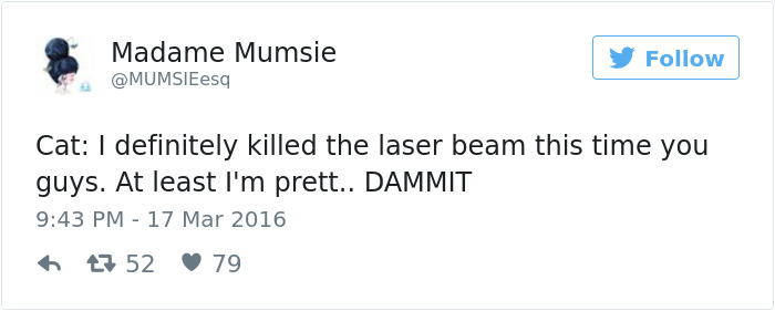 Best Cat Tweets Of 2016