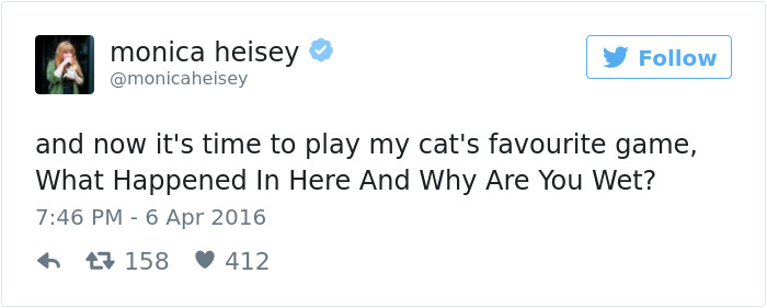 Best Cat Tweets Of 2016