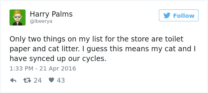 Best Cat Tweets Of 2016