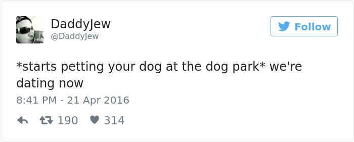 Dog Tweets