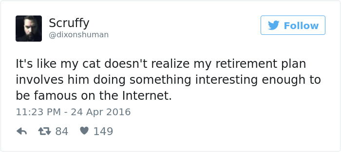 Best Cat Tweets Of 2016