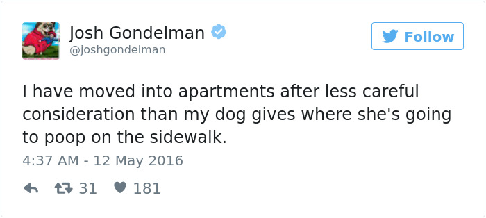 Dog Tweets