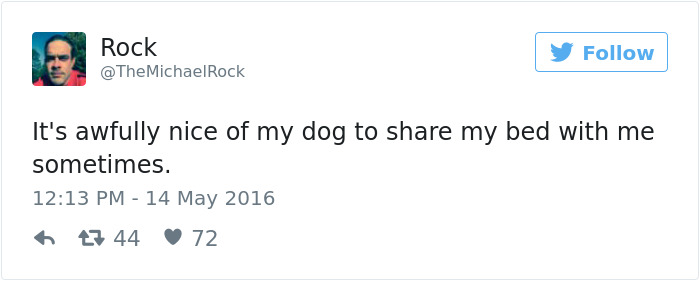 Dog Tweets