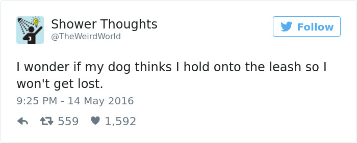 Dog Tweets