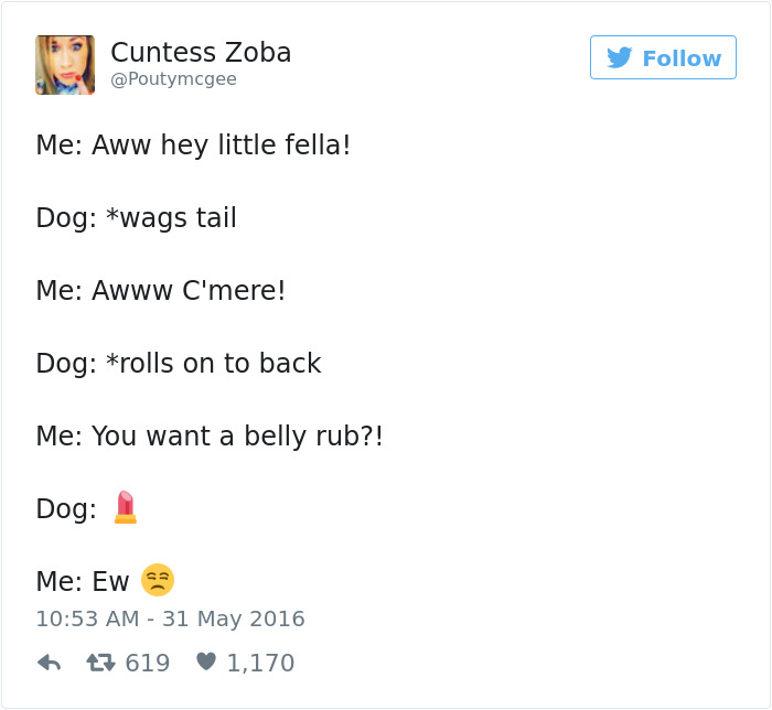 Dog Tweets