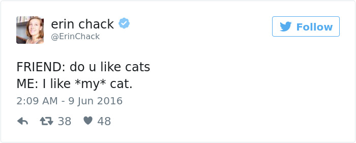 Best Cat Tweets Of 2016