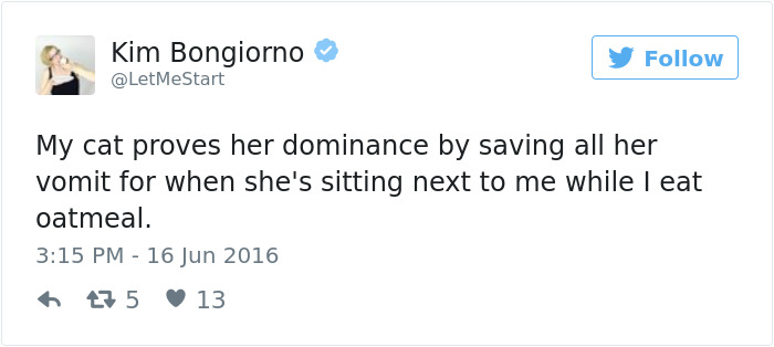 Best Cat Tweets Of 2016