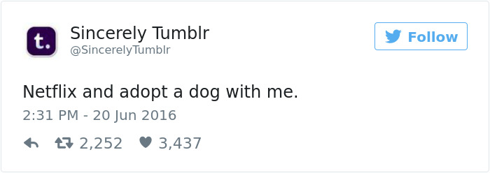 Dog Tweets
