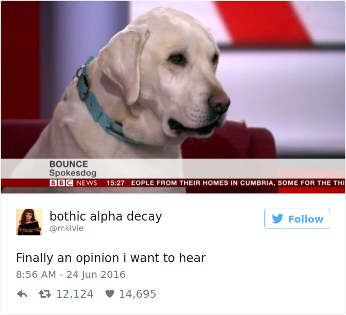 Funniest Women Tweets 2016